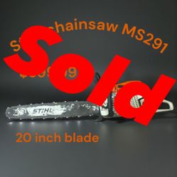 Stihl Chainsaw Ms291