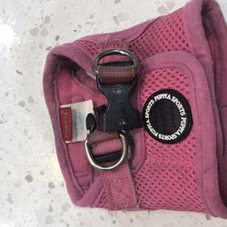 Dog Pet Cat Puppy  Harness XS—YES IT’S AVAILABLE! 