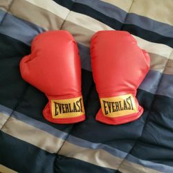 Boxing Gloves (Small) Training Gloves