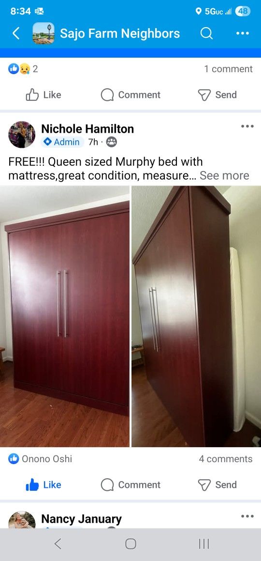 Free Queen Murphy Bed