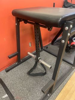 reverse hyperextension
