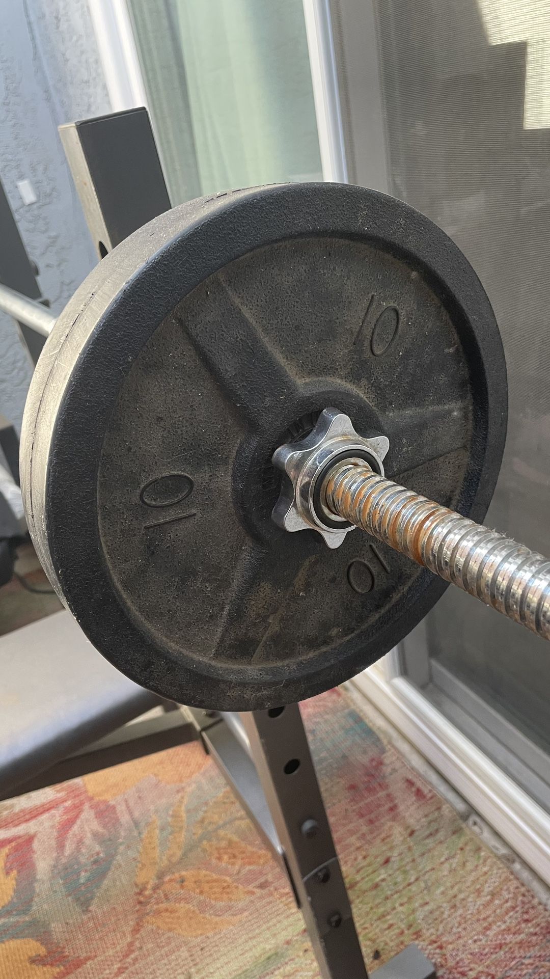 Weight Bench + Weights