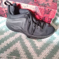 LeBron James Zoom Witness Basketball Shoes