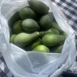 Aguacates