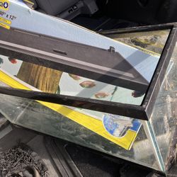 30 Inch Long Fish Aquarium Or Reptile Tank