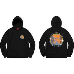 Supreme Embryo Hooded Sweatshirt