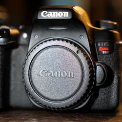 Canon EOS Rebel T6s W/ Tamron & Canon Lenses 