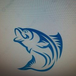 Assorted Fish Tank Aquarium Setups 