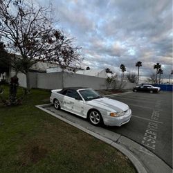 1997 Mustang Cobra 