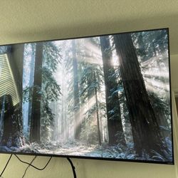 Vizio 75 Inch UHD Smart TV 