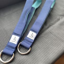 Good Citizen reformer Loops 