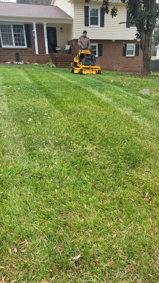 Palmalanscaping