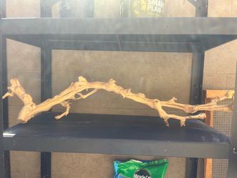 Natural Grapevine For Reptiles