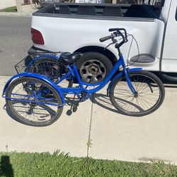 Adult tricycle bike
