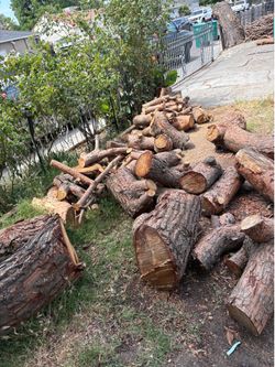 Free wood
