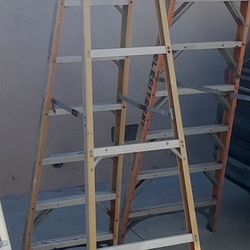 8’ Huskey Ladder