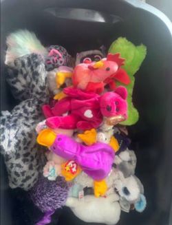 Ty Beanie Collectable Collection w/Tags
