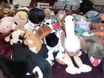Beanie baby original