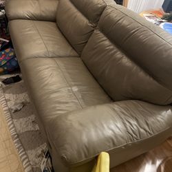 Two Dania love seat couches