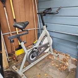 Cycle. Sunny