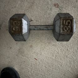 35Lb Dumbbell 