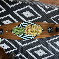 Sector 9 and Arbor Longboards