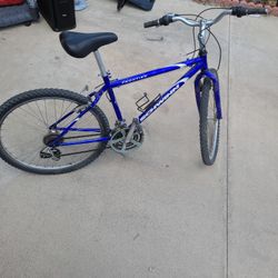 Schwinn Bicycle 
