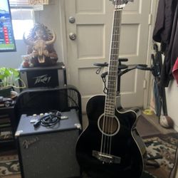 Acustic Electric Bass/FenderRumble 25 Amp $250