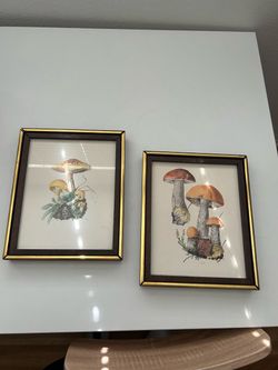 Vintage Mushroom Botanical Prints - Set of 2