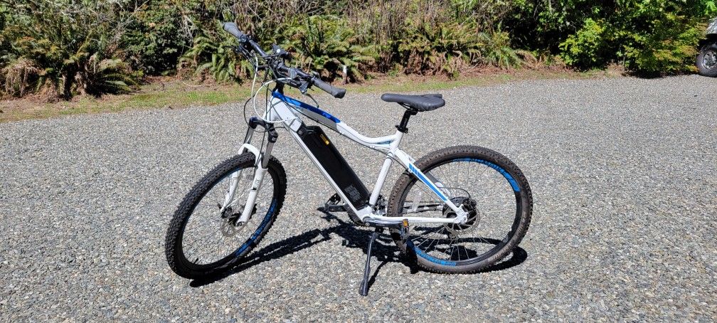 Electric mountain bike