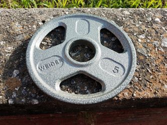 Weights; 5 lb plates; NEW OLYMPIC 2 in - have several - $12 per plate