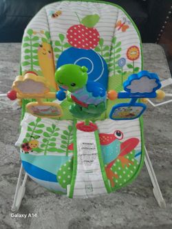 Fisher Price Baby Bouncer