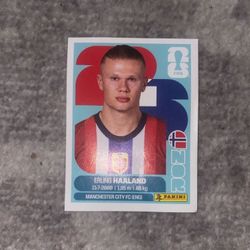 Erling Haaland World Cup Sticker 