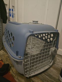 Puppy haul