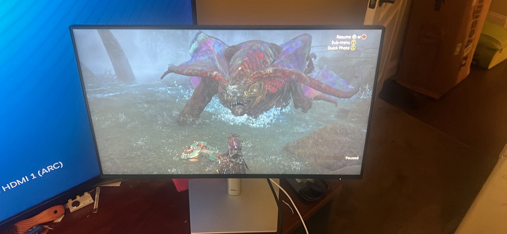 24 In Dell Monitor