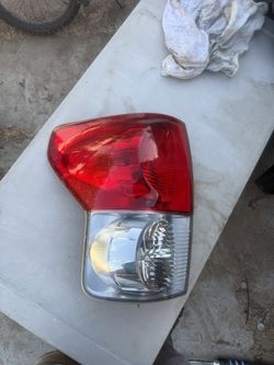 Calavera De Tondra De Lado Izquierda Original 