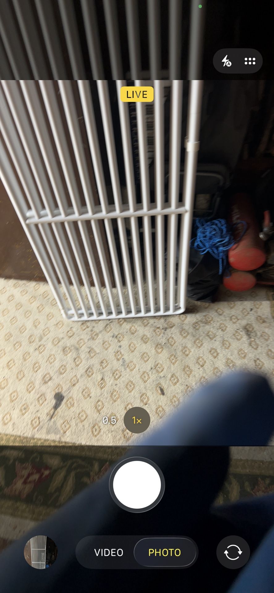 Cat Gate