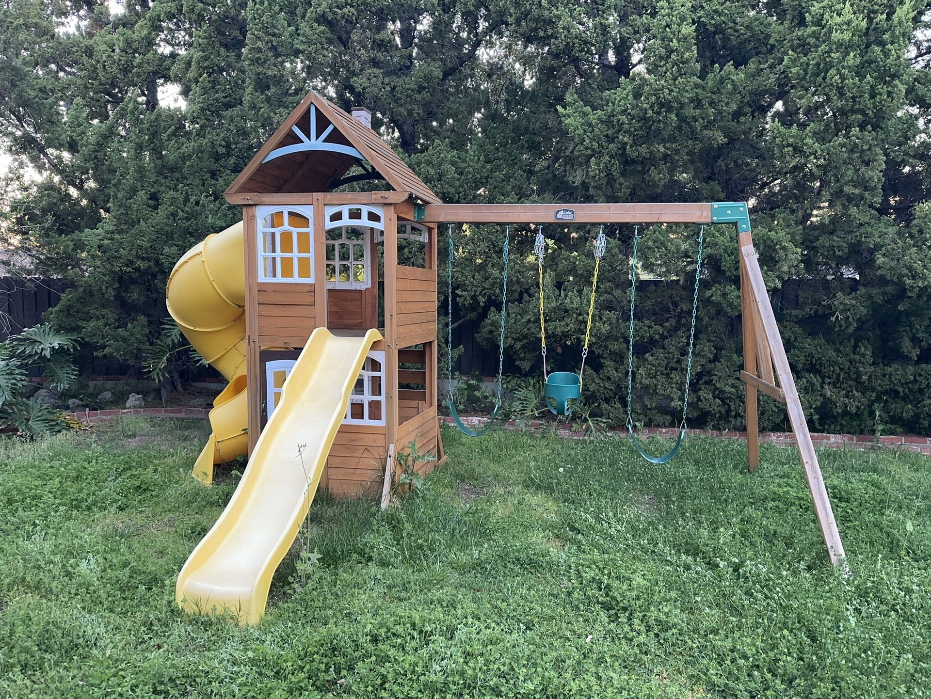 Swing Set With Slides 