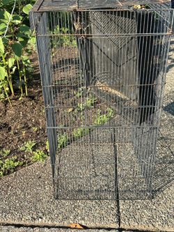 Large BIRD Cage