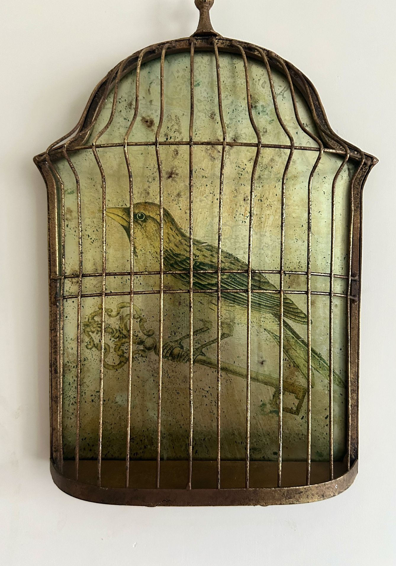 Vintage Rare Trompe-l'oeil Bird Cage | France 1950s | Verre Eglomisé Mirror Finish
