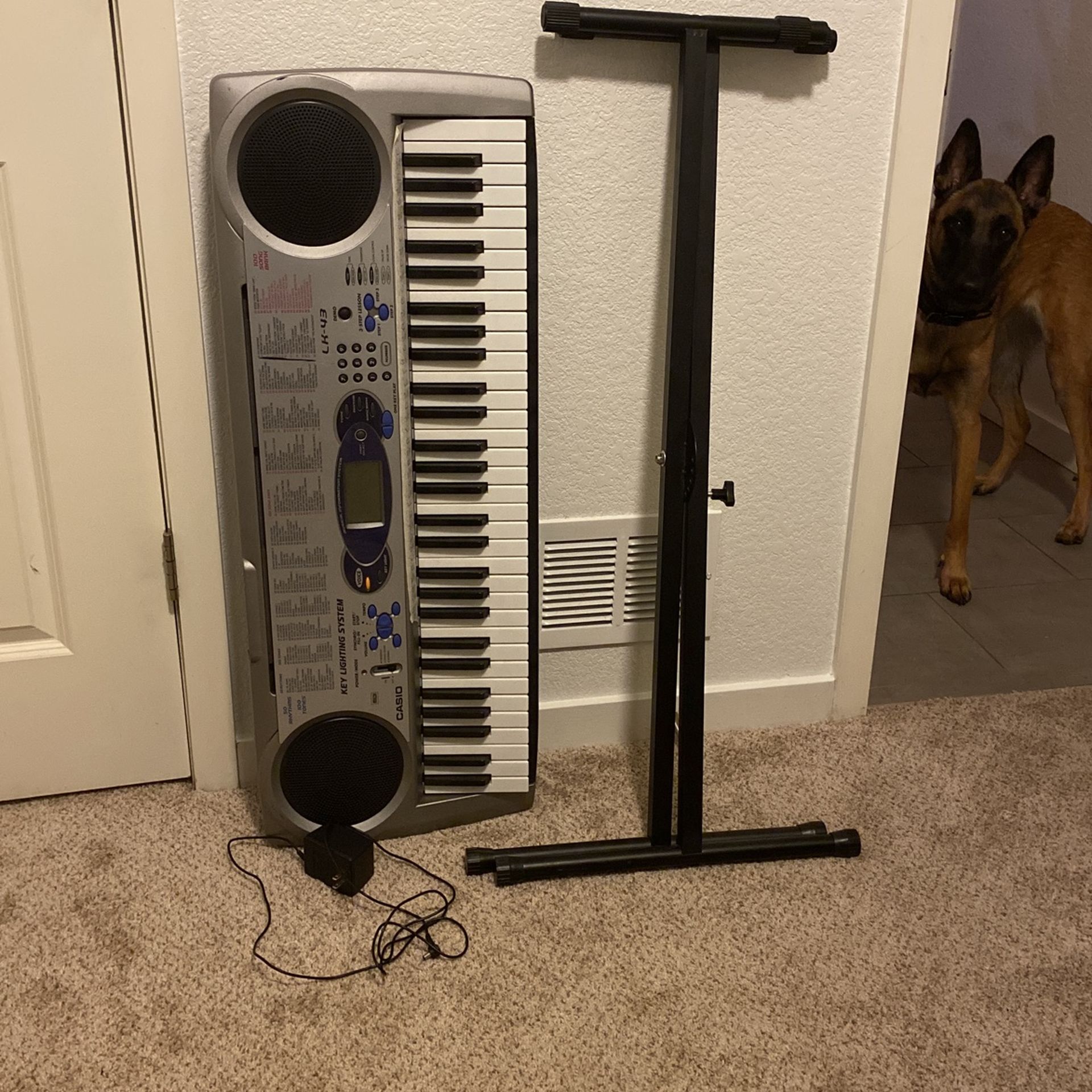 Casio LK-43 Electric Keyboard With Stand