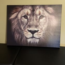 Beautiful Canvas Art