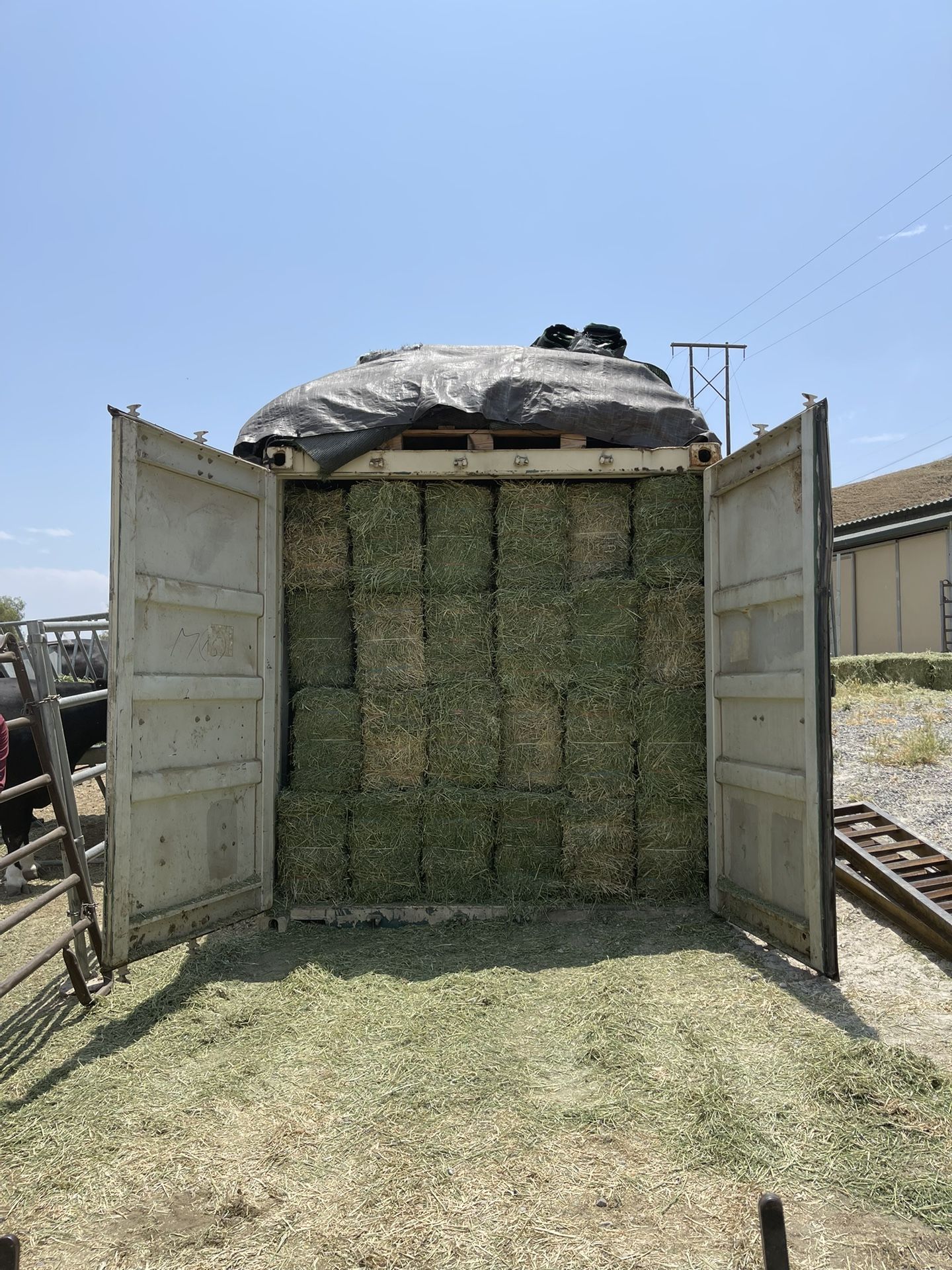 New Shipment! Alfalfa Horse Quality Hay
