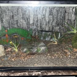 Reptile Cage