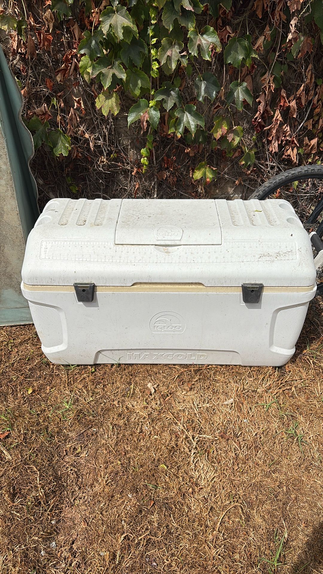 Giant Igloo Fishing Cooler
