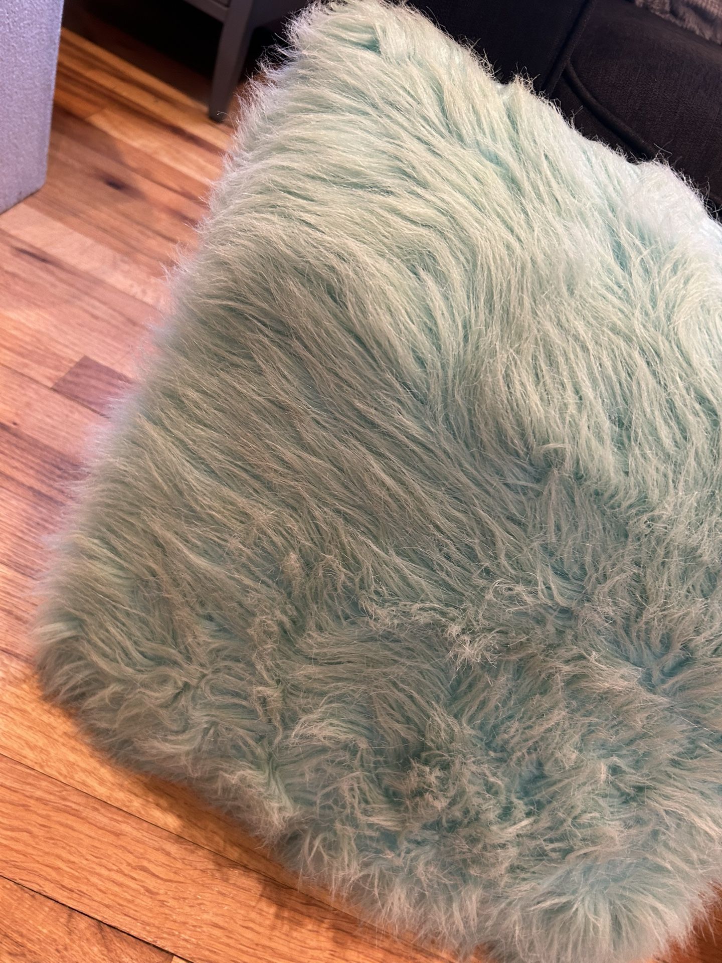 Light Green Throw Pillow