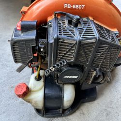 Echo Blower