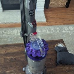 Dyson Ball Vacuum Animal 2