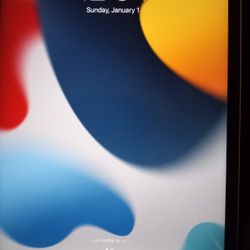 Ipad Mini 4 Cellular & WiFi 128 GBs