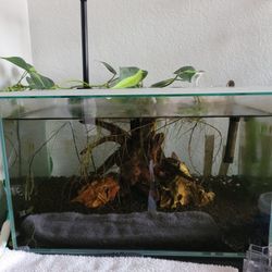 Aquarium Uns Rimless